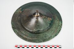 Foto von Bronzephalere (NHMW-PRAE-025835)